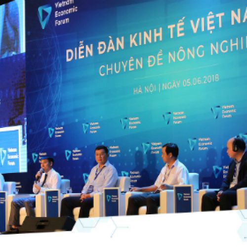 Chuyên gia bàn giải pháp tìm đường cho nông sản Việt