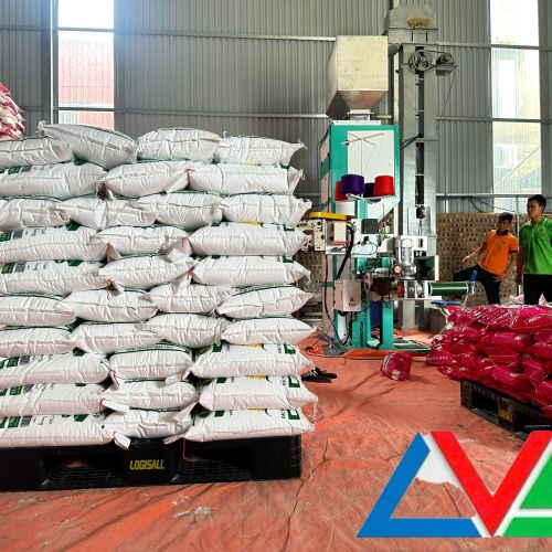 Gạo Tám Hải Hậu bao 10kg