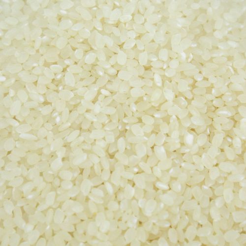 Gạo Nhật Japonica