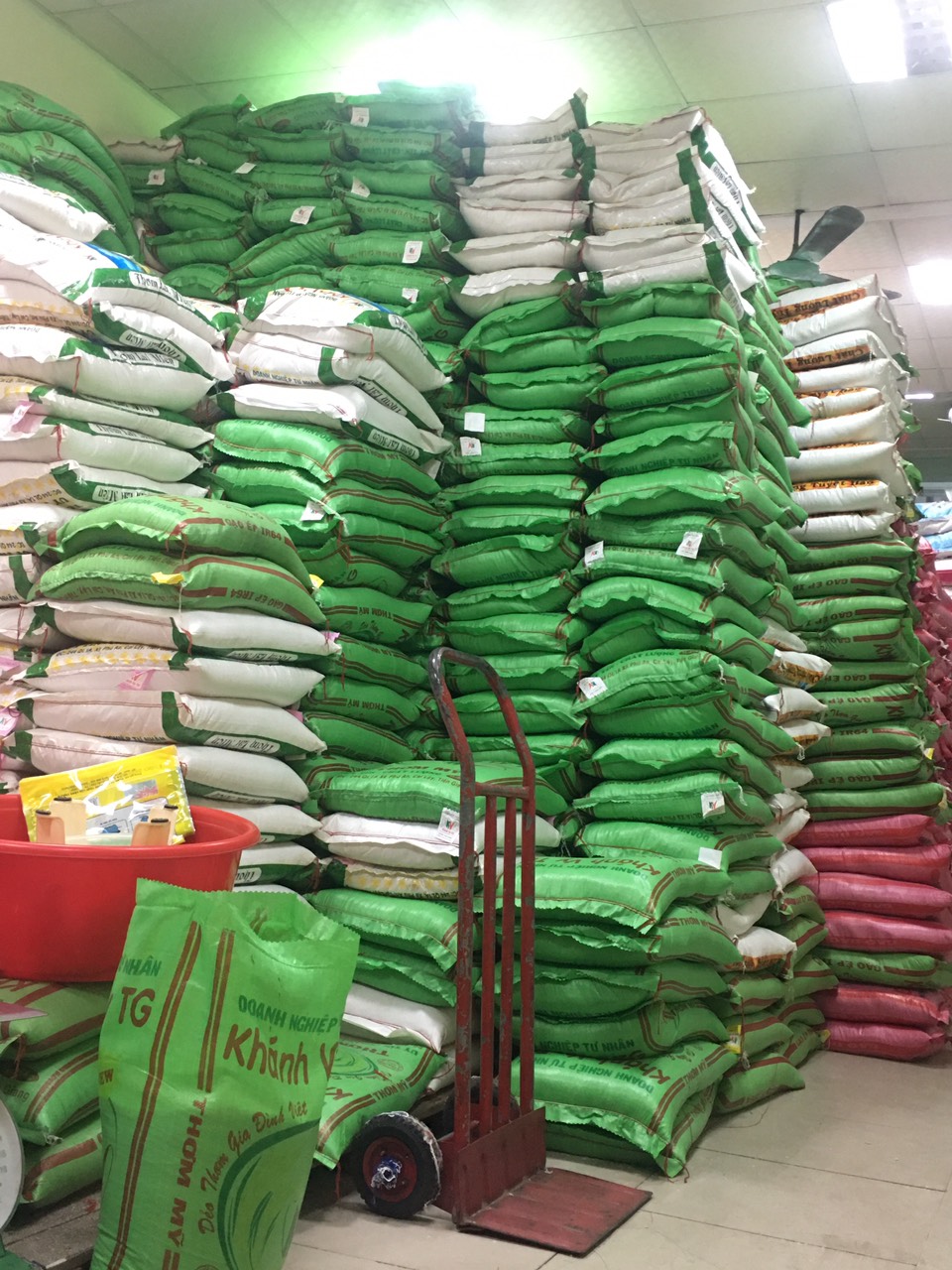 500bf5631720ea7eb331