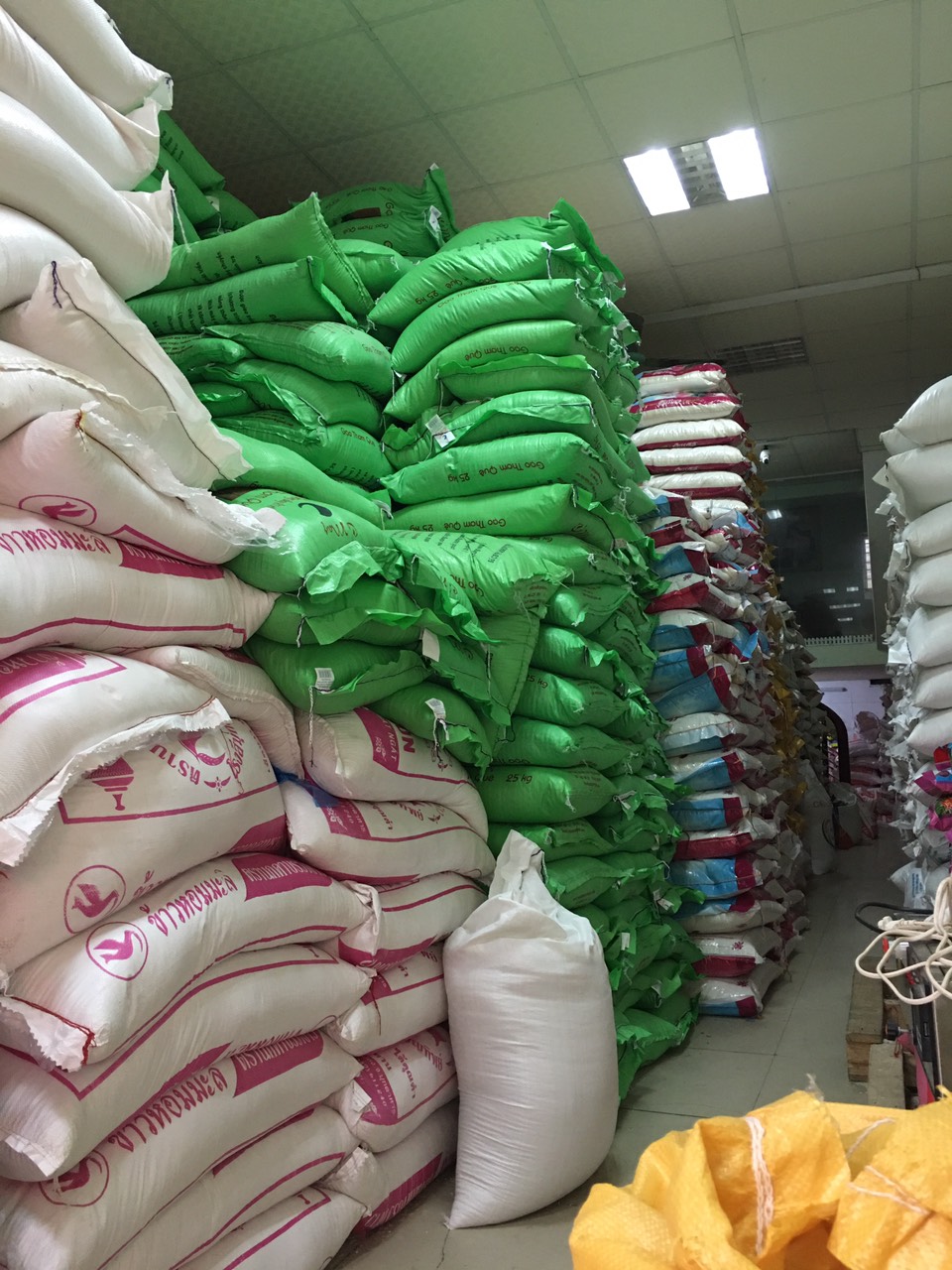 82d2f04e110dec53b51c